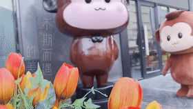 /uploads/image/2020/03/18/北4.gif 北4.gif